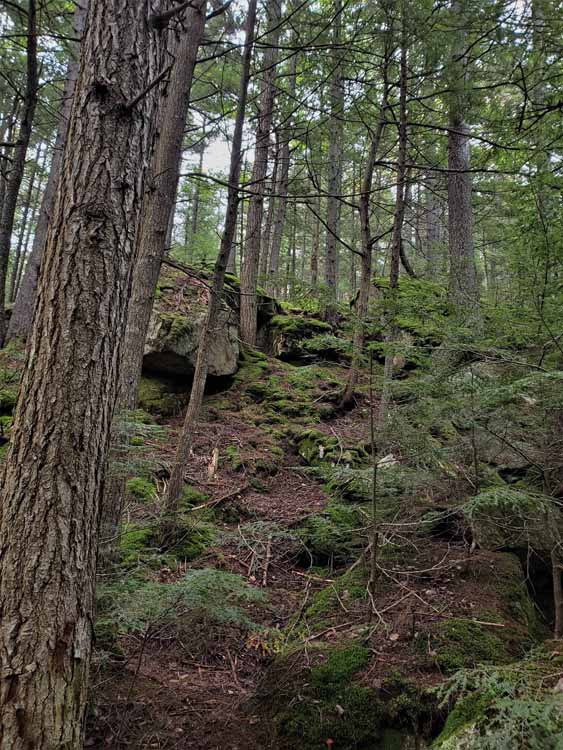 hiking trail